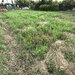 Teren cu acces facil la toate utilitatile langa Bucuresti